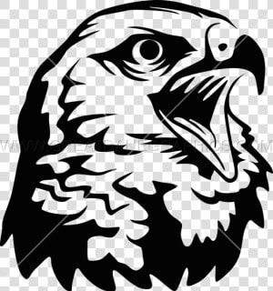 Hawk Png Black And White   Hawk Black And White Png  Transparent Png