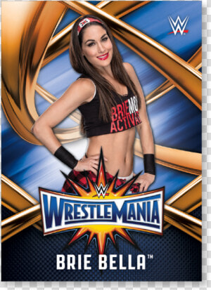 Brie Bella 2017 Wwe Road To Wrestlemania Wrestlemania   Aadi Lagna Patrika  HD Png Download