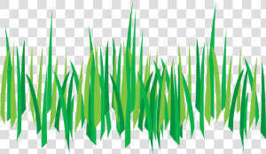 Weed Control Tempe Az   Transparent Background Cartoon Grass  HD Png Download