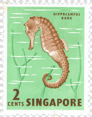 Singapore Fish   Singapore Stamps Marine Life  HD Png Download