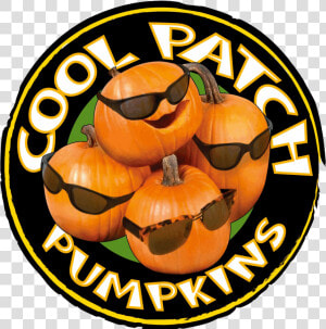 Coolpatchpumpkins Cool Pumpkins   Cool  HD Png Download