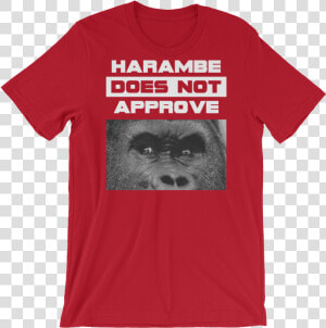 Harambe Does Not Approve   Jacobs School Of Music Tshirt  HD Png Download