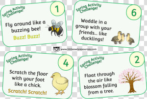 Spring Activity Challenge Cards   Cartoon  HD Png Download