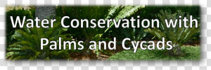 Banner Water Conservation  HD Png Download