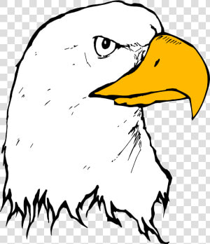 Transparent Eagle Head Vector Png   Cartoon Drawing Bold Eagle  Png Download