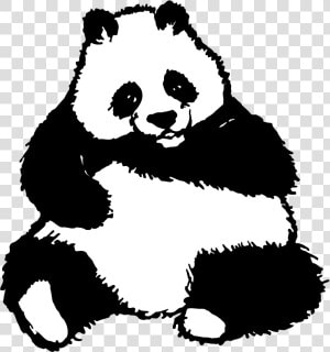 Panda   Panda Bear Clipart Black And White  HD Png Download