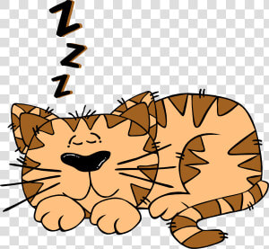 Cartoon Cat Sleeping Svg Clip Arts   Cat Sleeping Clipart  HD Png Download