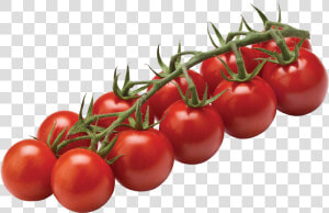 Tomato Cherry On Vine Clipart   Png Download   Cherry Tomato On The Vine  Transparent Png