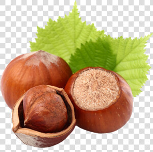 Hazelnut   Hazelnuts Png  Transparent Png