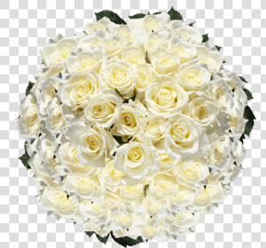 White Roses Mother S Day Flower Specials Free Shipping   Floribunda  HD Png Download