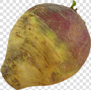 Turnip Rutabaga Root   Rutabaga Png  Transparent Png