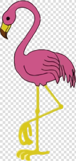 Flamingo Clipart Png   Hawaiian Flamingo Clip Art  Transparent Png