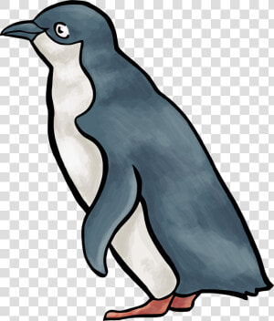 Penguin Clip Art Vector Graphics Royalty free Image   Little Blue Penguin Clipart  HD Png Download