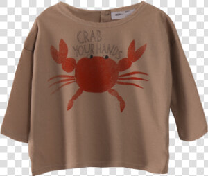 Thumb Image   Christmas Island Red Crab  HD Png Download