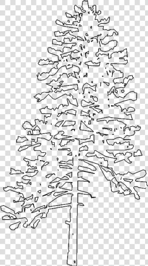 Fir Spruce Christmas Tree Twig Line Art   Pine Tree Elevation Png  Transparent Png