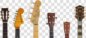 Transparent Guitar Headstock Png   Bass Guitar  Png Download