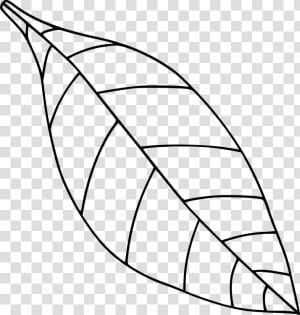 Computer Icons Drawing Black And White Leaf Coloring   Apple Leaf Clipart Black And White  HD Png Download