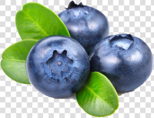 Blueberry Png File   Transparent Background Blueberry Png  Png Download