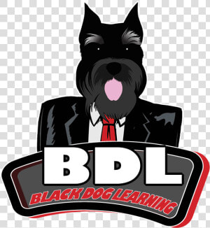 Black Dog Learning Logo  Learning And Multimedia Development   Standard Schnauzer  HD Png Download