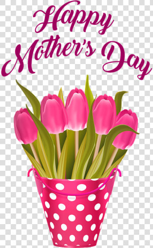 Happy Mother S Day  Tulips In Bucket  Flowers  Tulip   Happy Mother Day Date 2019  HD Png Download