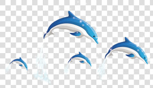 Dolphins Vector Png Download   Dolphins Png  Transparent Png