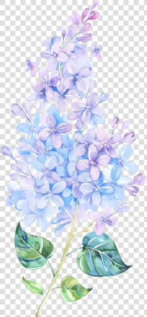 Picture Freeuse Library Flower Lilac Painting Purple   Tattoo Watercolor Lilac  HD Png Download