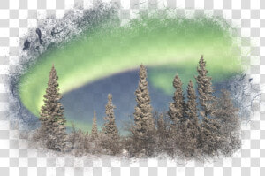  auroraborealis  forest  auroraboreal  landscape  sky   Paisajes Nevados Con Auroras Boreales  HD Png Download