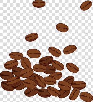 Transparent Png Coffee Beans   Coffee Beans Clipart Png  Png Download