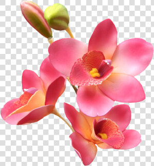 Detalles De Buenos Dias Con Flores  HD Png Download