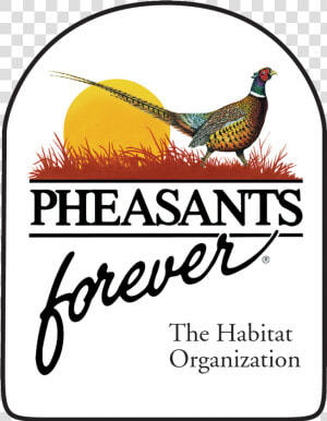 Pheasants Forever   Pheasants Forever Logo  HD Png Download