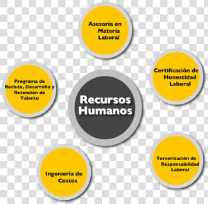 Creatividad En Recursos Humanos  HD Png Download