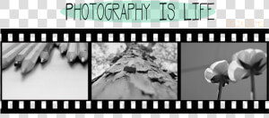 Photography Is Life   Portugal Em Selos 2005  HD Png Download