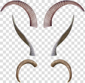 Animal  Horns  Antlers  Fantasy  Creature  Demon  Devil   Devil Goat Horns Png  Transparent Png