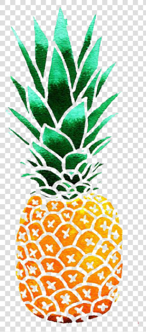 Clip Art Pineapple Watercolor   Illustration Pineapple Png  Transparent Png