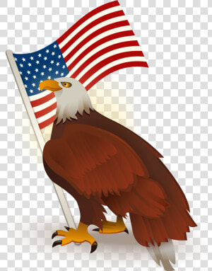 United States Clipart American Flag Eagle   Eagle Transparent American Flag  HD Png Download