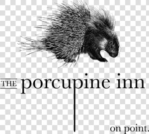 The Porcupine Inn   Wild Atlantic Irish Gin  HD Png Download