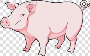 Transparent Baby Pig Clipart   Realistic Pig Png Clipart  Png Download