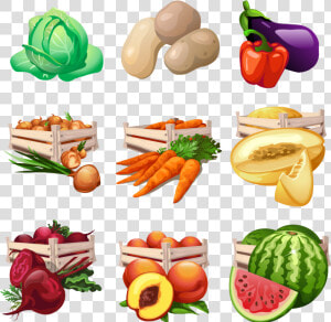 Fruits Clipart Local Fruit   Harvest Vegetable And Fruits  HD Png Download