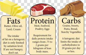 Types Of Food Fat Carbohydrates  HD Png Download