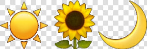  tumblr  aesthetic  emoji  sunflower  moon  sun  freetoedit   Sunflower Aesthetic Drawing  HD Png Download