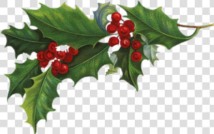 Freetoedit Garlands Christmas Christmastree Christmastime   Holly Transparent Background  HD Png Download