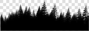 Forest Png File Download Free   Pine Forest Png  Transparent Png