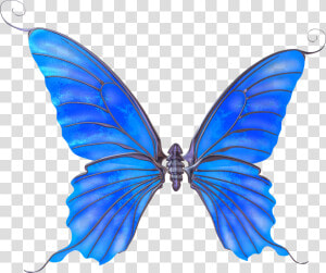 Transparent Mariposas Azules Png   Alas De Mariposa Azul Png  Png Download