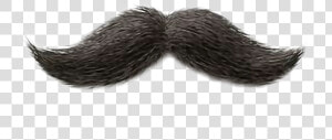  bigote   Усы Пнг  HD Png Download