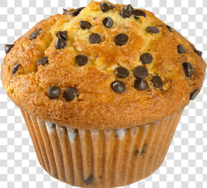 Muffin Png   Chocolate Chip Muffins Clipart  Transparent Png