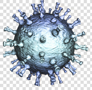 Varicella Zoster Virus  HD Png Download