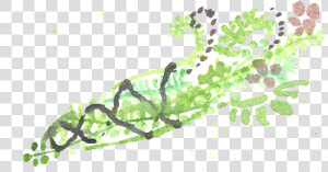 Watercolor Smudge Wand   Sea Lettuce  HD Png Download