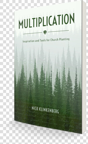 Shortleaf Black Spruce  HD Png Download