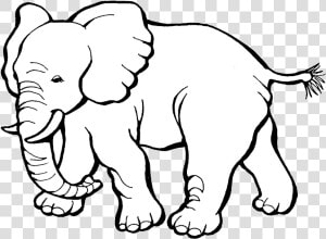 Elephant Image Result For Black And White Elephants   Elephant Black And White  HD Png Download