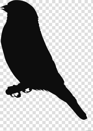 Finches Clip Art Scalable Vector Graphics Free Content   Black Eagle Clipart  HD Png Download